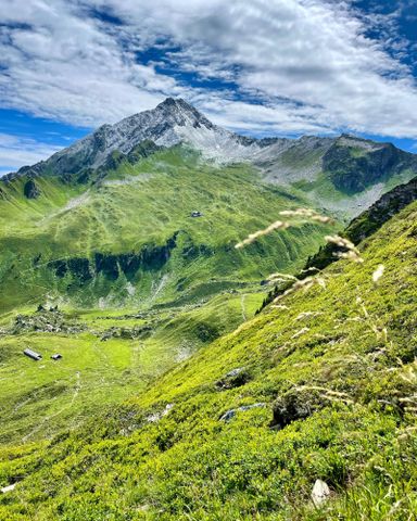 Alpen Bild