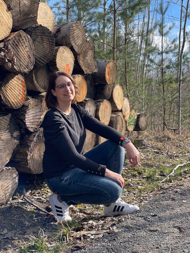 Wald Impressionen